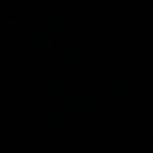 Meet your Posher, Makaylaann